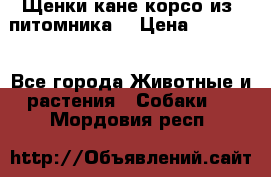 Щенки кане корсо из  питомника! › Цена ­ 65 000 - Все города Животные и растения » Собаки   . Мордовия респ.